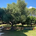 Pink Moon Private Luxury Secluded Garden 5 Bedroom 4 En Bathrooms With Private Pool Cat 6 Wifi Close To * Fontane Bianche